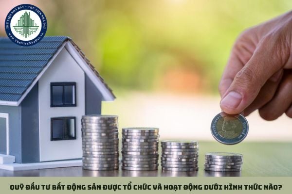 Quỹ đầu tư bất động sản được tổ chức và hoạt động dưới hình thức nào?