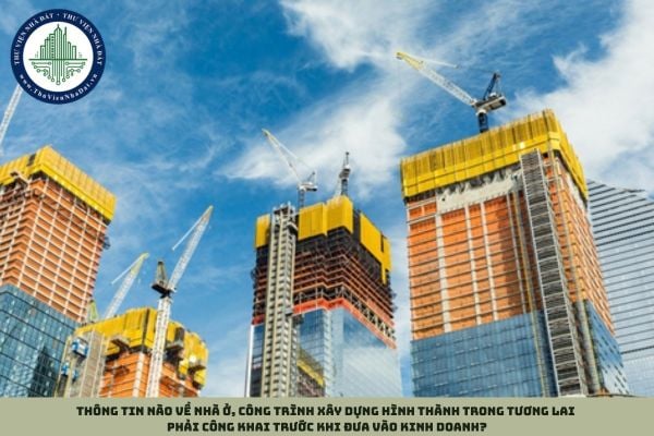 Thông tin nào về nhà ở, công trình xây dựng hình thành trong tương lai phải công khai trước khi đưa vào kinh doanh?