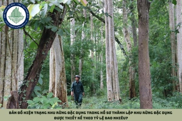Bản đồ hiện trạng khu rừng đặc dụng trong hồ sơ thành lập khu rừng đặc dụng được thiết kế theo tỷ lệ bao nhiêu?
