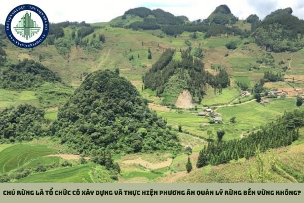 Chủ rừng là tổ chức có xây dựng và thực hiện phương án quản lý rừng bền vững không?