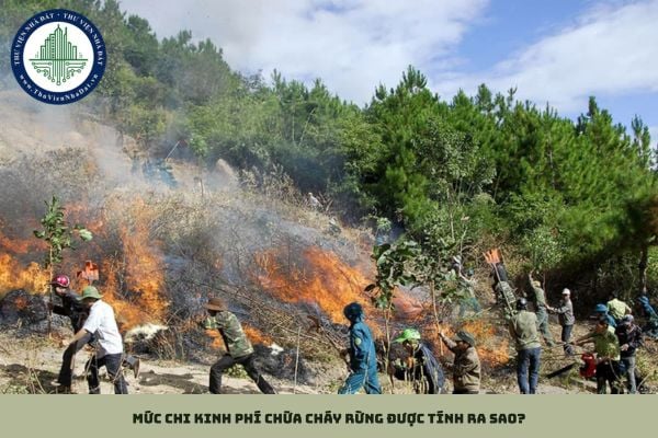 Mức chi kinh phí chữa cháy rừng được tính ra sao theo Nghị định 58?
