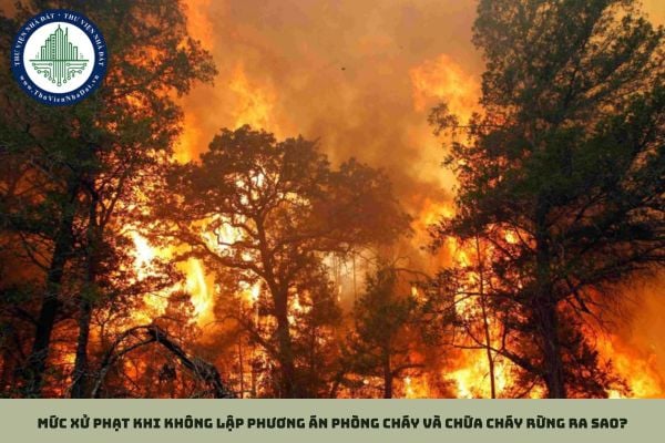 Mức xử phạt khi không lập phương án phòng cháy và chữa cháy rừng ra sao?