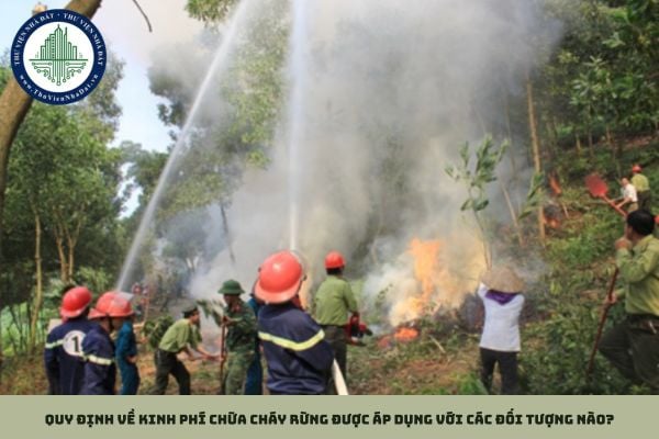 Quy định về kinh phí chữa cháy rừng được áp dụng với các đối tượng nào?