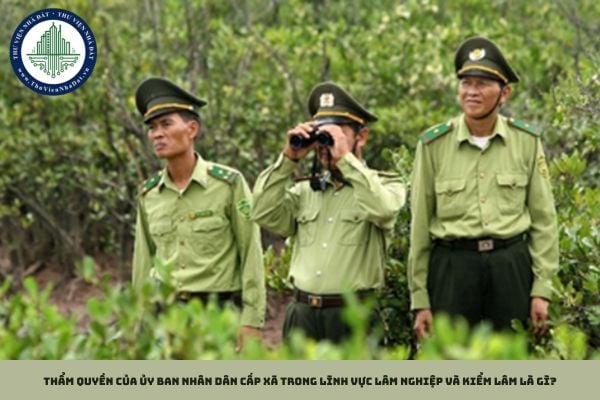 Thẩm quyền của Ủy ban nhân dân cấp xã trong lĩnh vực lâm nghiệp và kiểm lâm là gì?