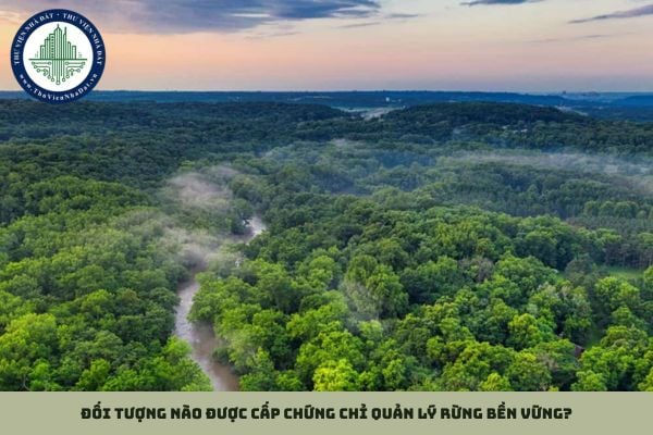 Đối tượng nào được cấp chứng chỉ quản lý rừng bền vững?