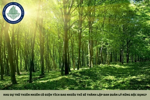 Khu dự trữ thiên nhiên có diện tích bao nhiêu thì sẽ thành lập ban quản lý rừng đặc dụng?
