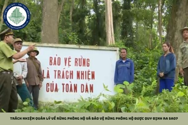 Trách nhiệm quản lý về rừng phòng hộ và bảo vệ rừng phòng hộ được quy định ra sao?