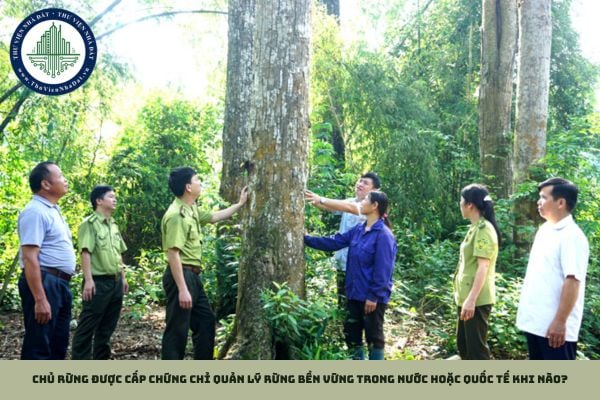 Chủ rừng được cấp chứng chỉ quản lý rừng bền vững trong nước hoặc quốc tế khi nào?