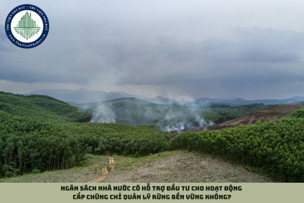 Ngân sách nhà nước có hỗ trợ đầu tư cho hoạt động cấp chứng chỉ quản lý rừng bền vững không?