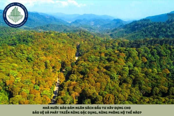 Nhà nước bảo đảm ngân sách đầu tư xây dựng cho bảo vệ và phát triển rừng đặc dụng, rừng phòng hộ thế nào?