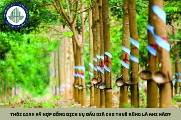 Thời gian ký hợp đồng dịch vụ đấu giá cho thuê rừng là khi nào?