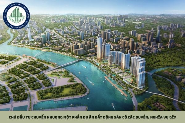 Chủ đầu tư chuyển nhượng một phần dự án bất động sản có các quyền, nghĩa vụ gì?
