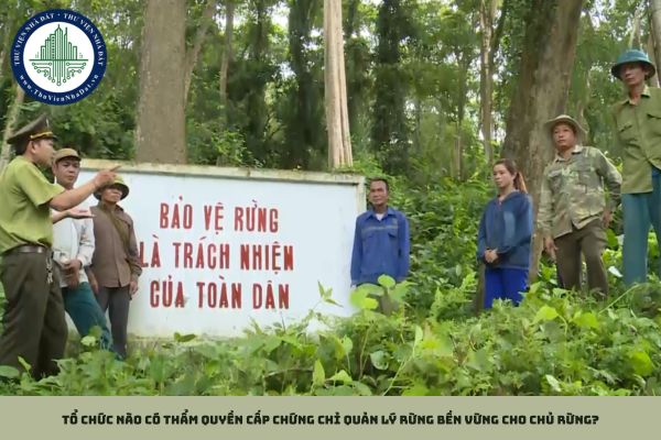 Tổ chức nào có thẩm quyền cấp chứng chỉ quản lý rừng bền vững cho chủ rừng?