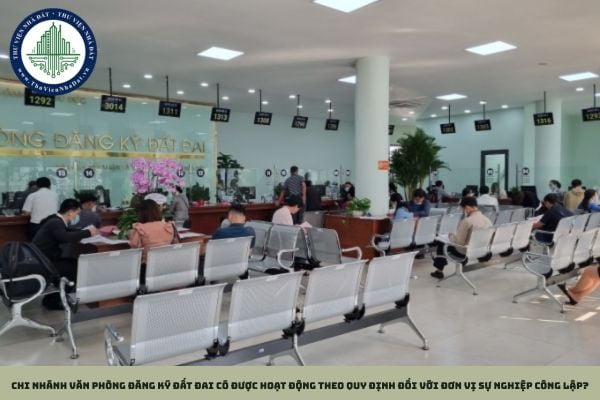 Chi nhánh Văn phòng đăng ký đất đai có được hoạt động theo quy định đối với đơn vị sự nghiệp công lập?