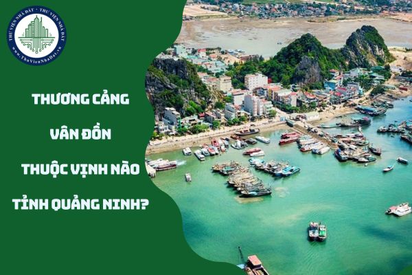 Thương cảng Vân Đồn thuộc vịnh nào của tỉnh Quảng Ninh? (hình từ internet)