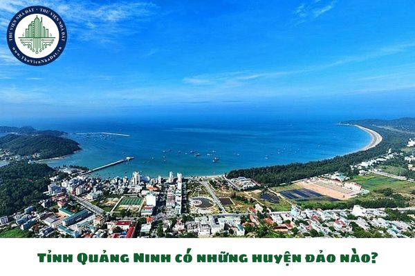 Tỉnh Quảng Ninh có những huyện đảo nào? (hình từ internet)