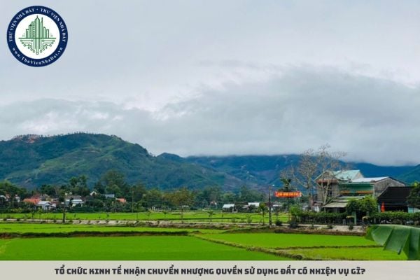 Tổ chức kinh tế nhận chuyển nhượng quyền sử dụng đất có nhiệm vụ gì?