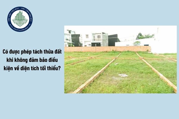 Có được phép tách thửa đất khi không đảm bảo điều kiện về diện tích tối thiểu?