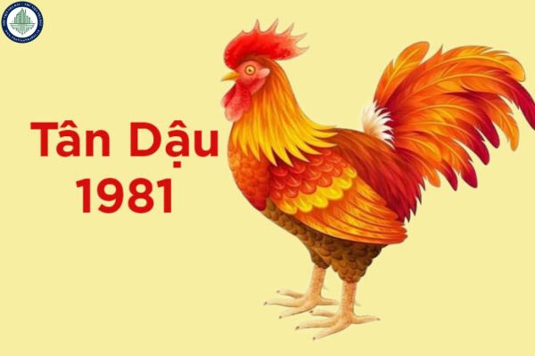 Tân Dậu 1981 năm 2025 sao gì? Tân Dậu 1981 trong năm 2025 có nên đầu tư mua nhà tại Kon Tum không?	