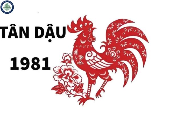 Tử vi Tân Dậu 1981 năm 2025? Tử vi Tân Dậu 1981 năm 2025 có thích hợp mua nhà tại Nha Trang không?	