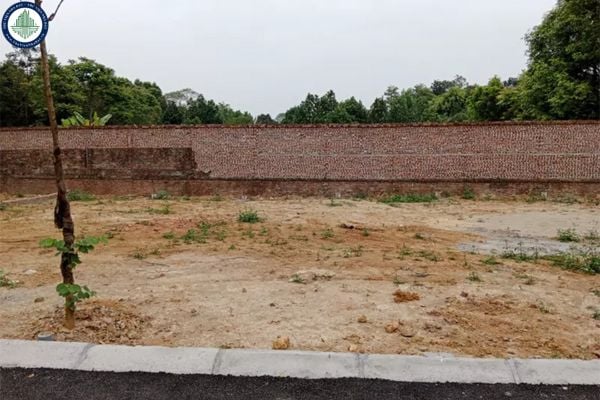 Bán đất Xóm Bướm, Sơn Tây, DT 230m² MT 5m, giá 2 tỷ, pháp lý rõ ràng