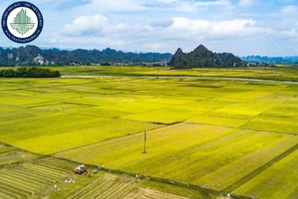 Báo cáo kết quả thống kê đất đai cấp xã gồm những nội dung nào?