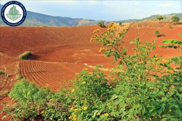 Đất chưa sử dụng bao gồm những loại đất nào? Đất chưa sử dụng có thể khai thác để làm bãi đỗ xe được không?