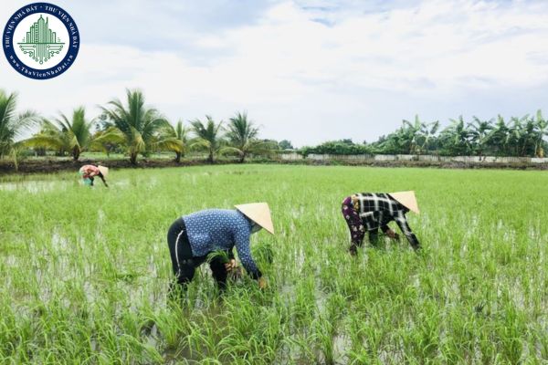 Đất nông nghiệp có được sử dụng kết hợp với mục đích mục đích thương mại, dịch vụ, chăn nuôi, trồng cây dược liệu không?