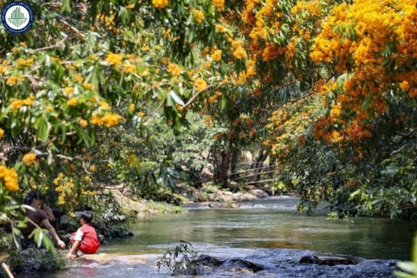 Suối Tà Má ở đâu? Ngắm hoa trang mông mơ bên suối Tà Má? Cảnh quan thiên nhiên suối Tà Má có tác động thế nào đến giá đất tại khu vực?	