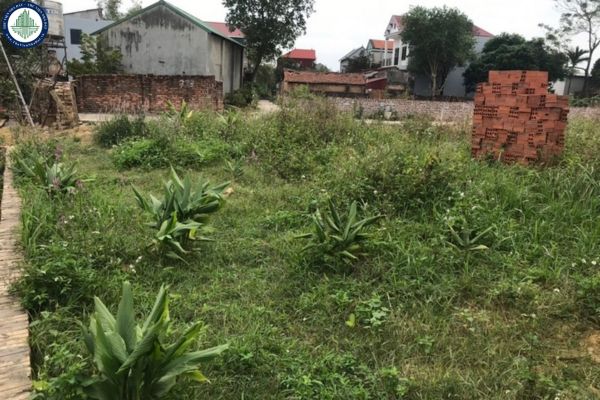 Bán đất thổ cư tại Phú Ninh, Minh Phú, Sóc Sơn giá chỉ 14,5 triệu/m², diện tích 92m²