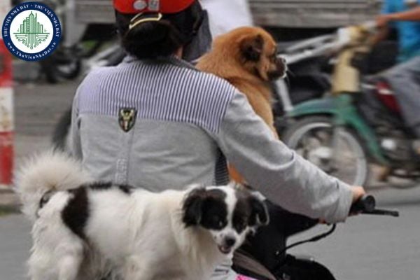Điều khiển, dẫn dắt thú cưng đi vào phần đường xe cơ giới bị phạt bao nhiêu tiền theo Nghị định 168?