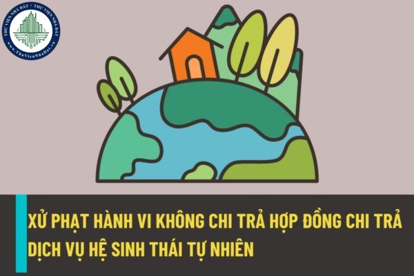 Không chi trả hoặc chi trả không đầy đủ và đúng hạn theo hợp đồng chi trả dịch vụ hệ sinh thái tự nhiên thì sẽ bị xử phạt như thế nào?
