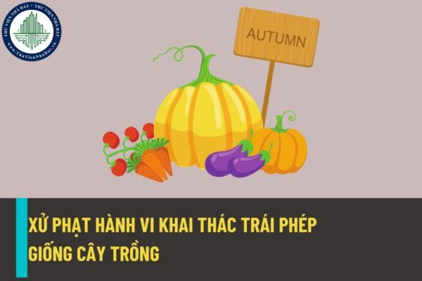 Khai thác trái phép giống cây trồng thuộc danh mục loài nguy cấp, quý, hiếm được ưu tiên bảo vệ sẽ bị xử phạt thế nào từ ngày 25/8/2022?