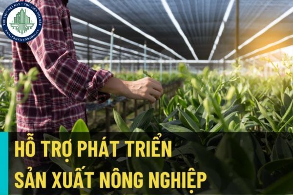 Đối tượng nào được hỗ trợ phát triển sản xuất trong lĩnh vực nông nghiệp thuộc Chương trình mục tiêu quốc gia giảm nghèo?