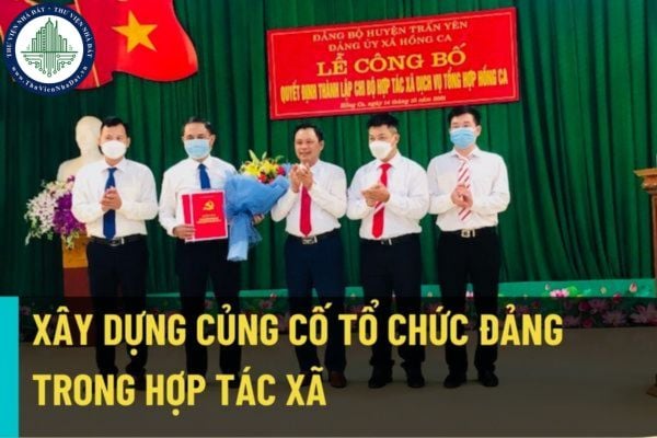 Hướng dẫn về xây dựng, củng cố tổ chức đảng trong hợp tác xã, liên hiệp hợp tác xã theo Hướng dẫn 02-HD/BTCTW?