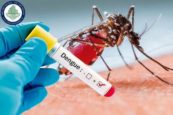 Thành phố Hồ Chí Minh: tăng cường truyền thông công tác phòng chống sốt xuất huyết Dengue?