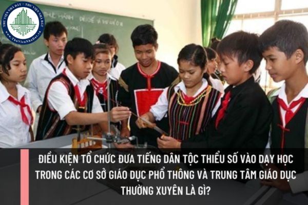 Điều kiện tổ chức đưa tiếng dân tộc thiểu số vào dạy học trong các cơ sở giáo dục phổ thông và trung tâm giáo dục thường xuyên là gì?