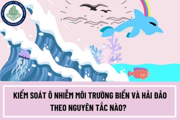 Kiểm soát ô nhiễm môi trường biển và hải đảo theo nguyên tắc nào? Nội dung kiểm soát ô nhiễm môi trường biển và hải đảo bao gồm những gì?