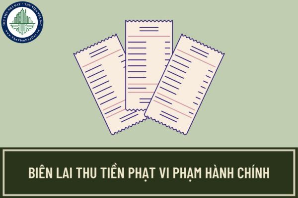 Việc sử dụng biên lai thu tiền phạt phải tuân thủ những quy định nào? In, phát hành biên lai thu tiền phạt được thực hiện như thế nào?