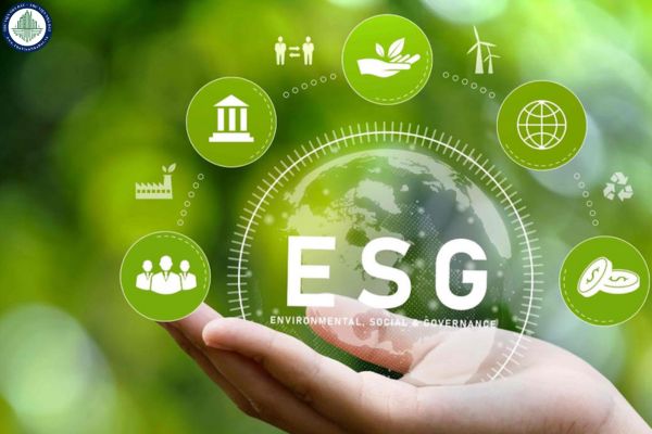ESG là gì? 3 trọng tâm ESG doanh nghiệp cần tìm hiểu