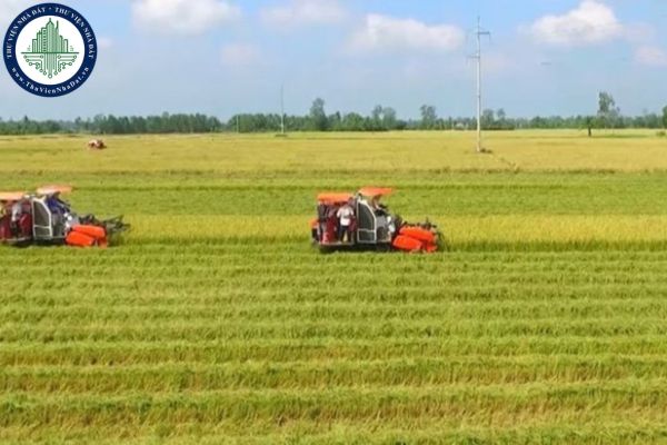 Cá nhân trực tiếp sản xuất nông nghiệp sử dụng đất trồng cây hằng năm thì thời hạn giao đất là bao lâu?