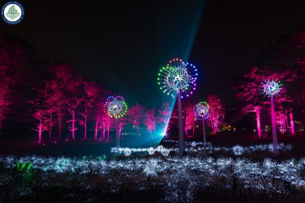 Công viên Delight Park Đà Lạt đã đi vào hoạt động chưa?