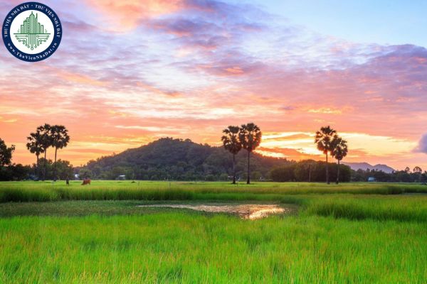 Mẫu đoạn văn 200 chữ về bài thơ lục bát Việt Nam quê hương ta?