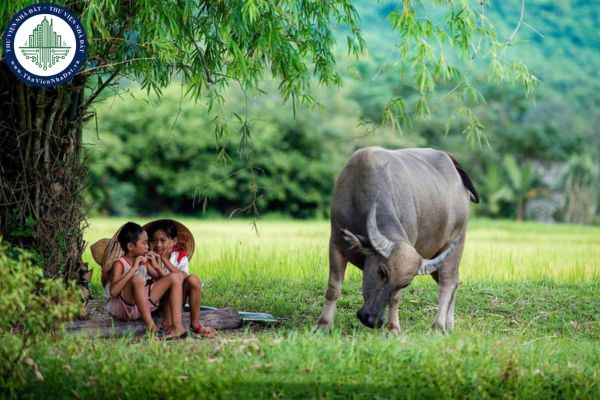 Mẫu đoạn văn ghi lại cảm xúc về một bài thơ lục bát ngắn gọn? Hình thức rèn luyện trong kì nghỉ hè của học sinh lớp 6 do ai quy định?