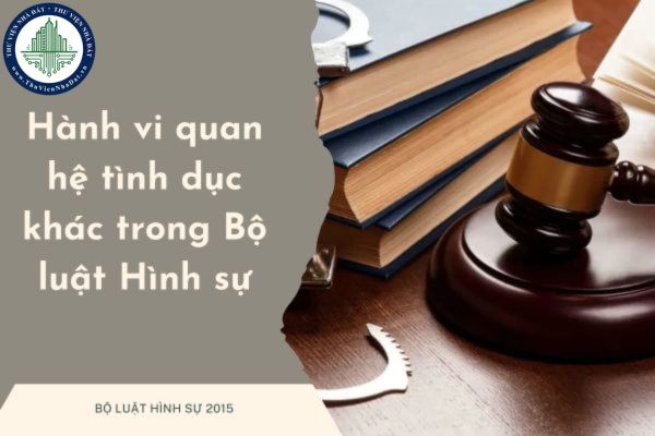 Hành vi quan hệ tình dục khác trong Bộ luật Hình sự là hành vi như thế nào? Nghi ngờ một người bị xâm hại tình dục khi thấy những dấu hiệu nào?