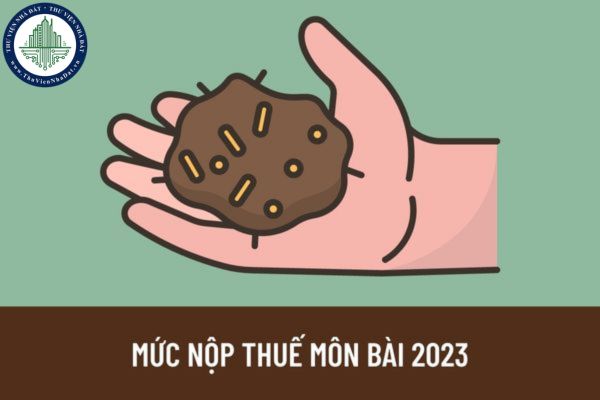 Mức nộp thuế môn bài năm 2023 là bao nhiêu? Thời hạn nộp thuế môn bài năm 2023 là khi nào?