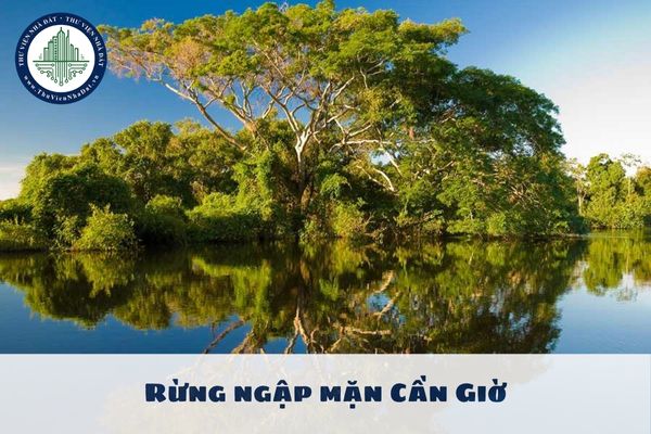 Rừng ngập mặn nào là khu dự trữ sinh quyển đầu tiên của Việt Nam?