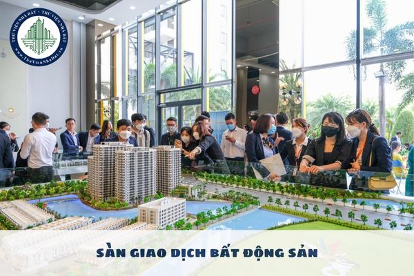 Tổ chức cá nhân tham gia giao dịch bất động sản tại sàn giao dịch bất động sản có quyền gì?