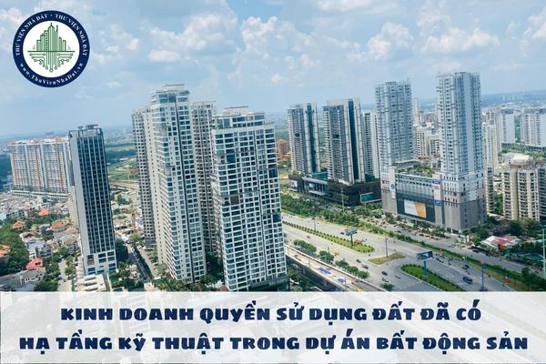 Hình thức kinh doanh quyền sử dụng đất đã có hạ tầng kỹ thuật trong dự án bất động sản được quy định như thế nào?