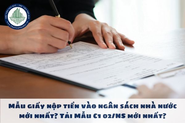 Mẫu giấy nộp tiền vào ngân sách nhà nước mới nhất? Tải Mẫu C1 02/NS mới nhất?